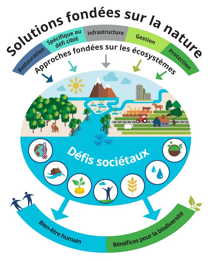 Solutions fondees sur la nature