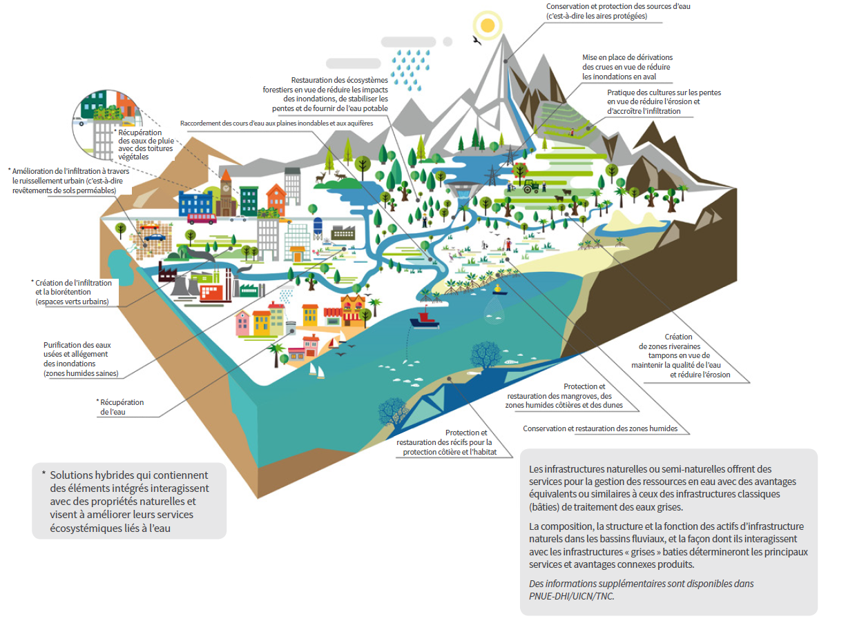 solutions d’infrastructures naturelles ou vertes pour la gestion de l’eau